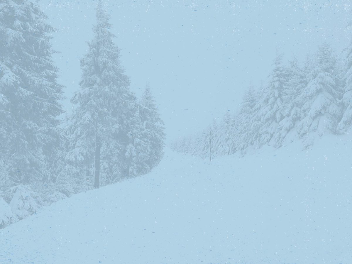 LA MUJER QUE SOBREVIVIO EN LA NIEVE ESPERANDO LA AYUDA DE SUS AMIGOS&nbsp;MUERTOS.