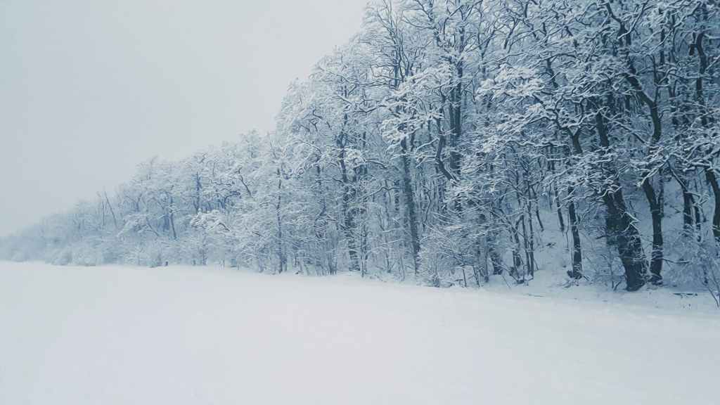 Survival Stories and The Strom in the Mountains